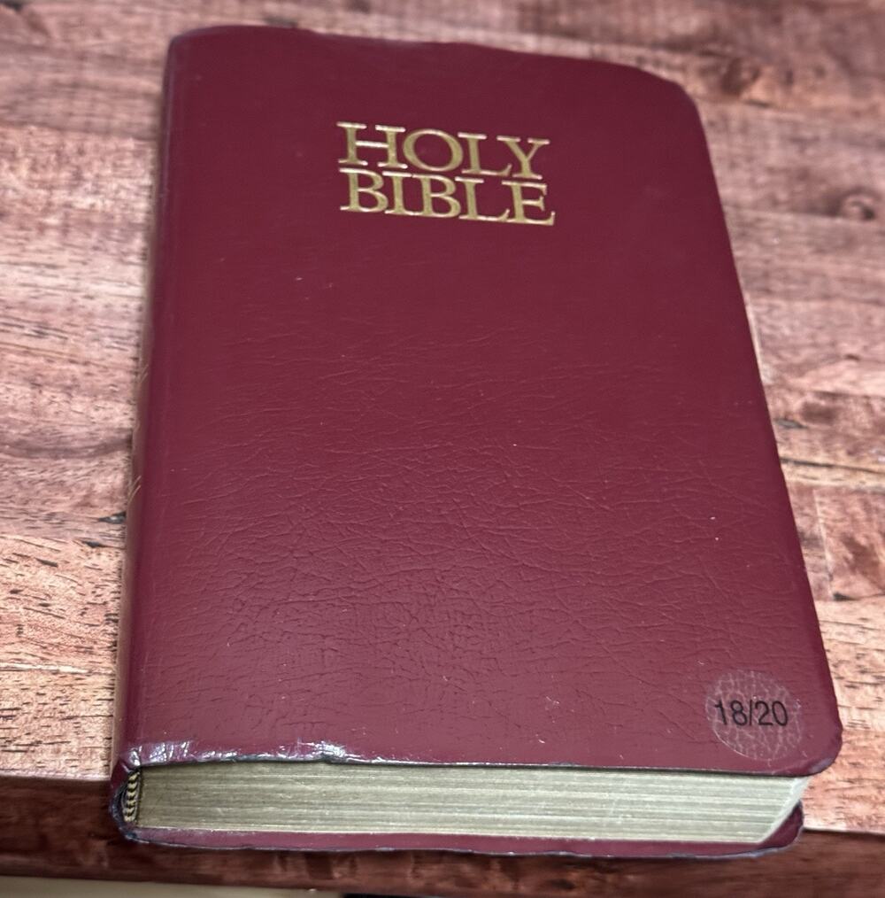HOLY BIBLE NIV w/Helps Words of Christ in Red Letter Zondervan 2001 Maroon